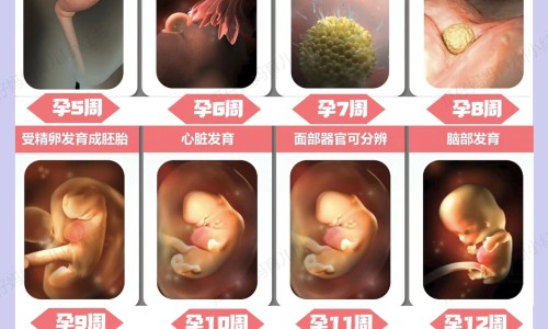 怀孕缺碘的10个征兆-什么原因孕妇缺典网—知名的孕妇缺典吃什么补得最快网站,分享孕妇缺典对胎儿有影响吗知识