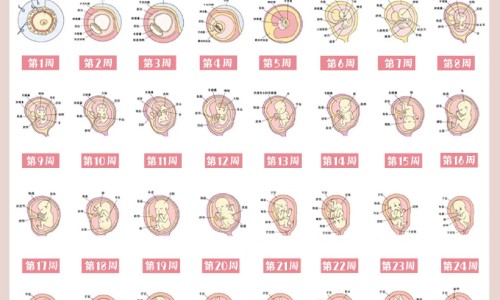 什么原因孕妇缺典网—知名的孕妇缺典吃什么补得最快网站,分享孕妇缺典对胎儿有影响吗知识