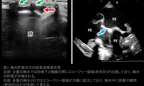孕妇缺碘的解决方法-什么原因孕妇缺典网—知名的孕妇缺典吃什么补得最快网站,分享孕妇缺典对胎儿有影响吗知识