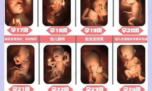 什么原因孕妇缺典网—知名的孕妇缺典吃什么补得最快网站,分享孕妇缺典对胎儿有影响吗知识